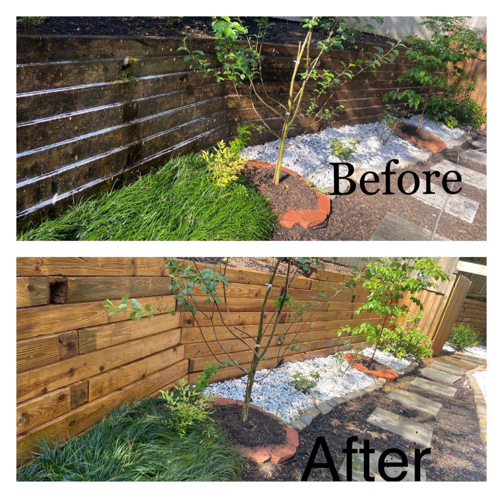 WhatsApp Image 2023-09-20 at 6.51.02 AM