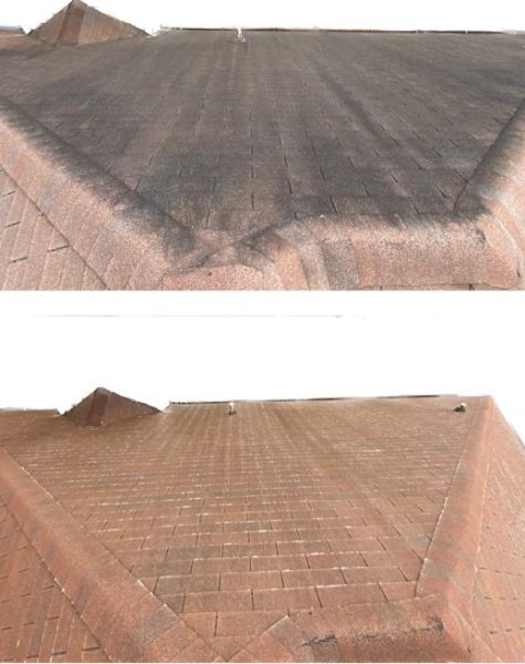 WhatsApp Image 2023-10-16 at 1.17.08 PM