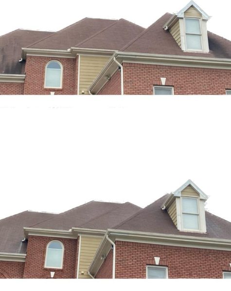 WhatsApp Image 2023-10-16 at 1.17.18 PM