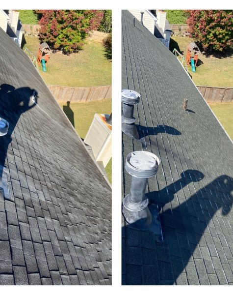 WhatsApp Image 2023-10-16 at 1.18.12 PM